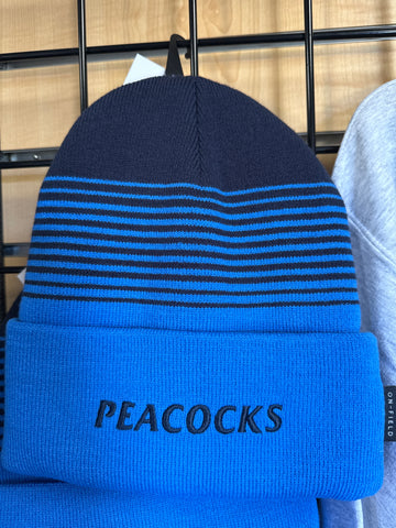 Nike Terra Stripe Beanie - Italy Blue