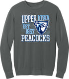 CH Lightweight Fleece Crewneck 26-511s