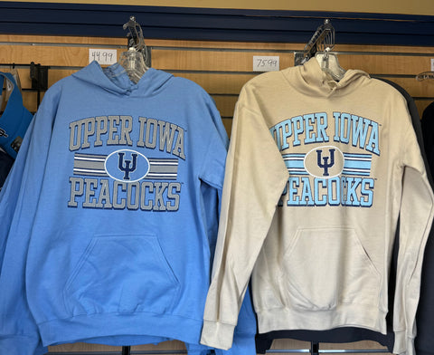 CH SF500 Hoodie