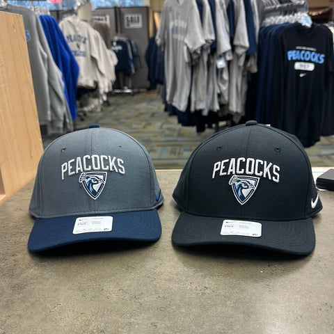 Nike Swoosh Flex Hat â Upper Iowa University - Campus Store
